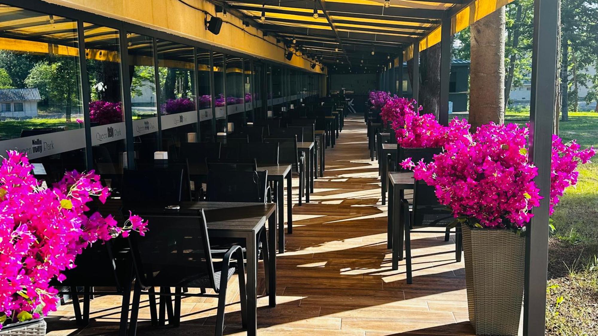 Queen Nelly Park キテン エクステリア 写真