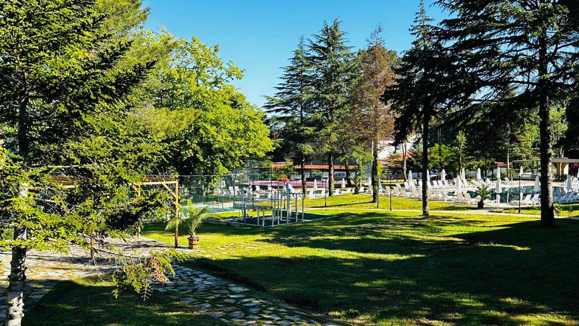 Queen Nelly Park キテン エクステリア 写真