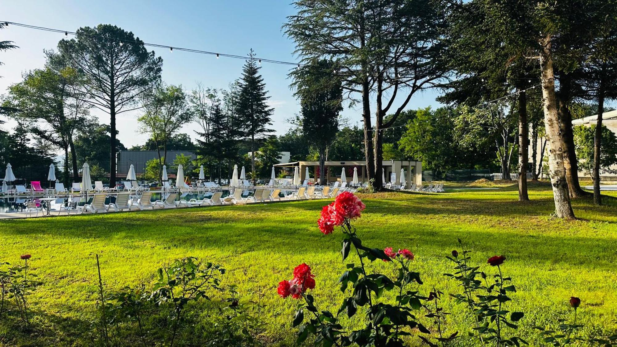 Queen Nelly Park キテン エクステリア 写真
