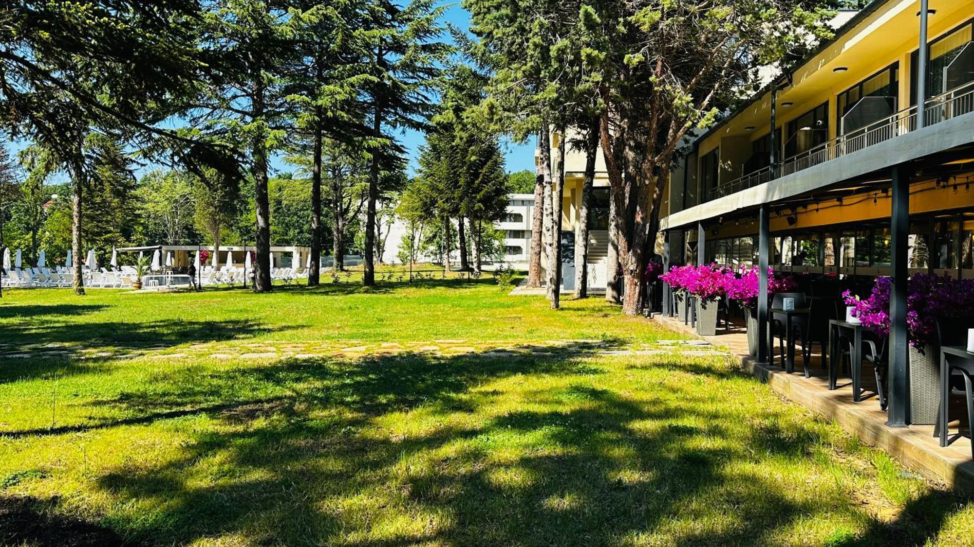 Queen Nelly Park キテン エクステリア 写真